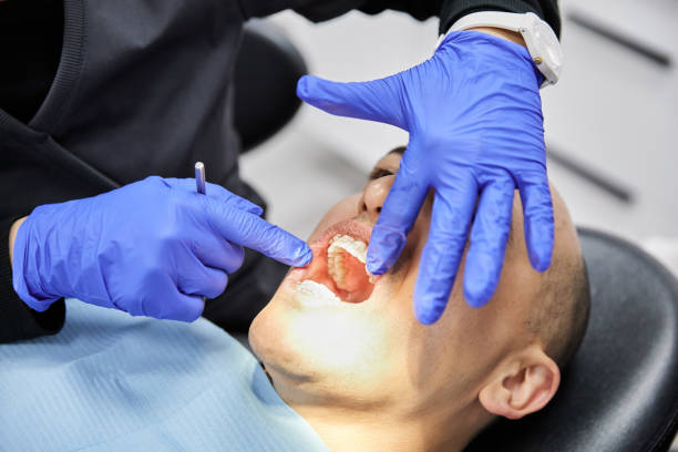 Best Emergency Dental Services for Seniors in Shippensburg, PA